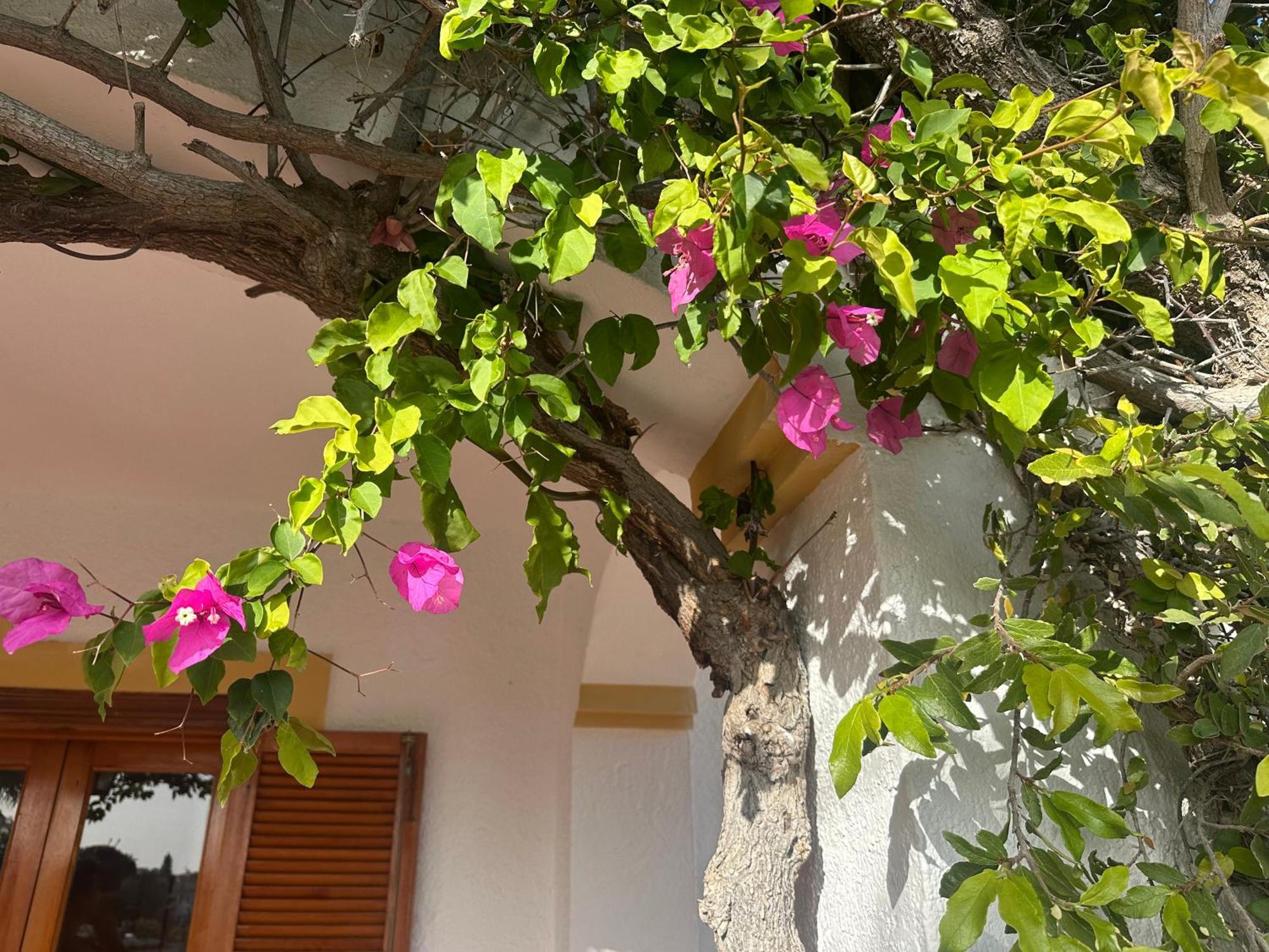 Casa Hermosa Михас Екстериор снимка